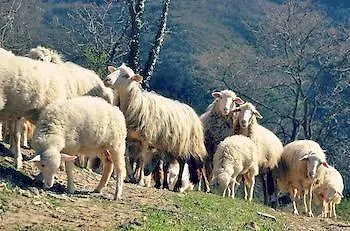 Dimora Il Prato *