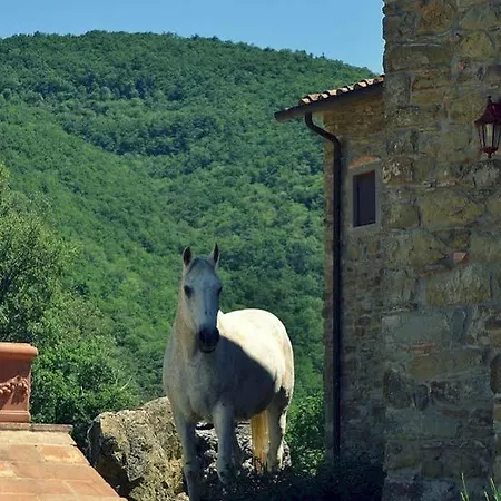 Dimora Il Prato * Castiglion Fibocchi