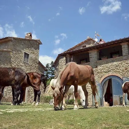 Hotel Dimora Il Prato *
